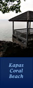 Kapas Coral Beach