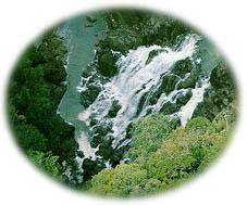 The ultimate 'Buaya Sangkut' waterfall