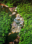 endau3.JPG (27376 bytes)