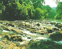endau5.JPG (23736 bytes)