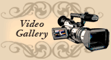 Video Gallery