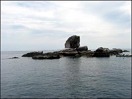 100-0010_IMG.jpg (10499 bytes)