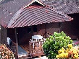 DSCF0055.jpg (18025 bytes)