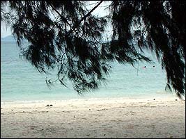 DSCF0059.jpg (16207 bytes)