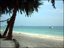 DSCF0066.jpg (11221 bytes)