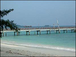 DSCF0072.jpg (8445 bytes)