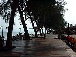 DSCF0076.jpg (13962 bytes)