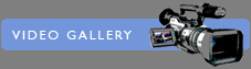 Video gallery