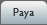 Paya