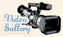 Video gallery
